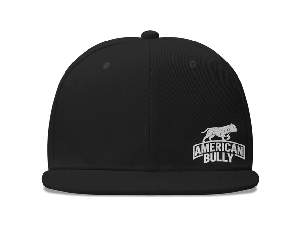 AB Loyalty Black Flatbill Snapback
