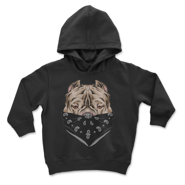 Bully Mask Youth and Toddler Pullover Hoodie