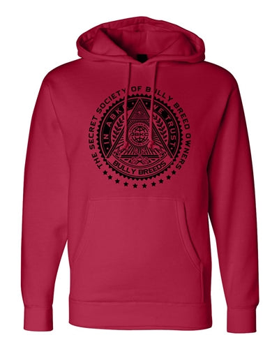 IN ABKC WE TRUST ADULT PULLOVER HOODIE